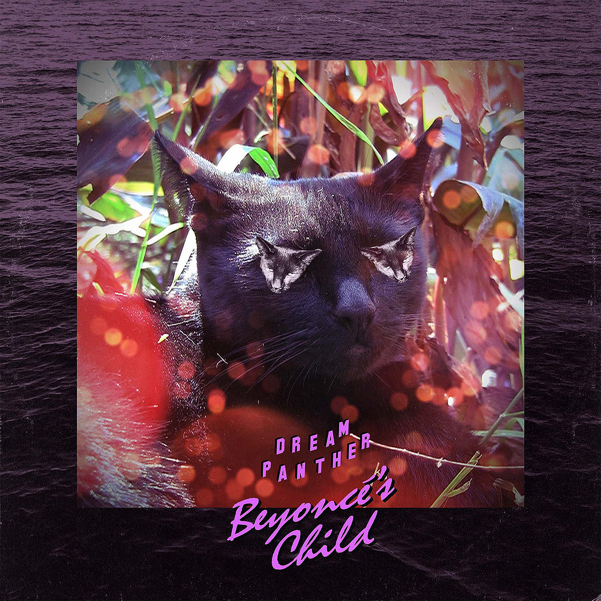 Dream Panther photo