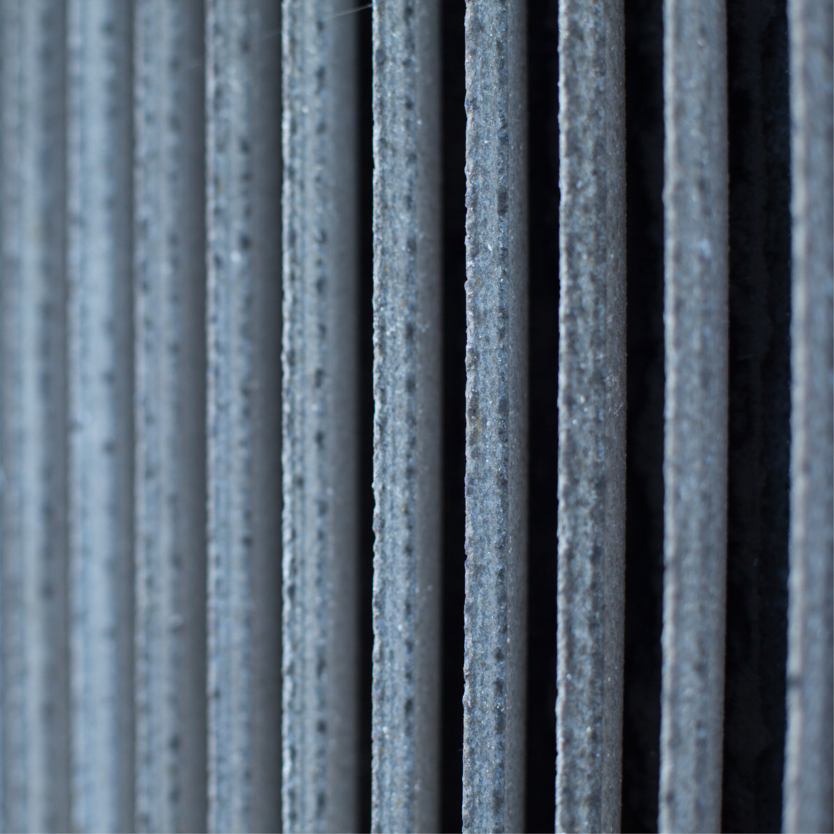 Jesse Koolhaas photo