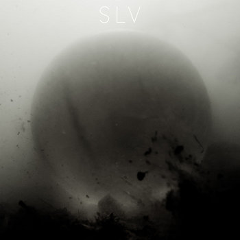 S L V photo